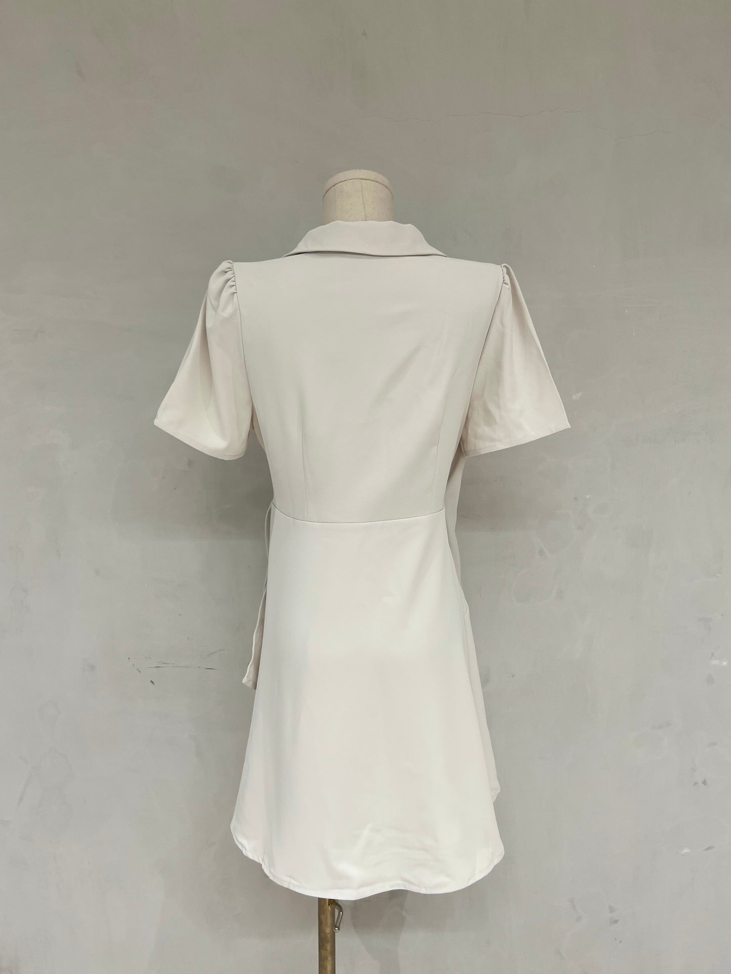 XELA Collared Dress